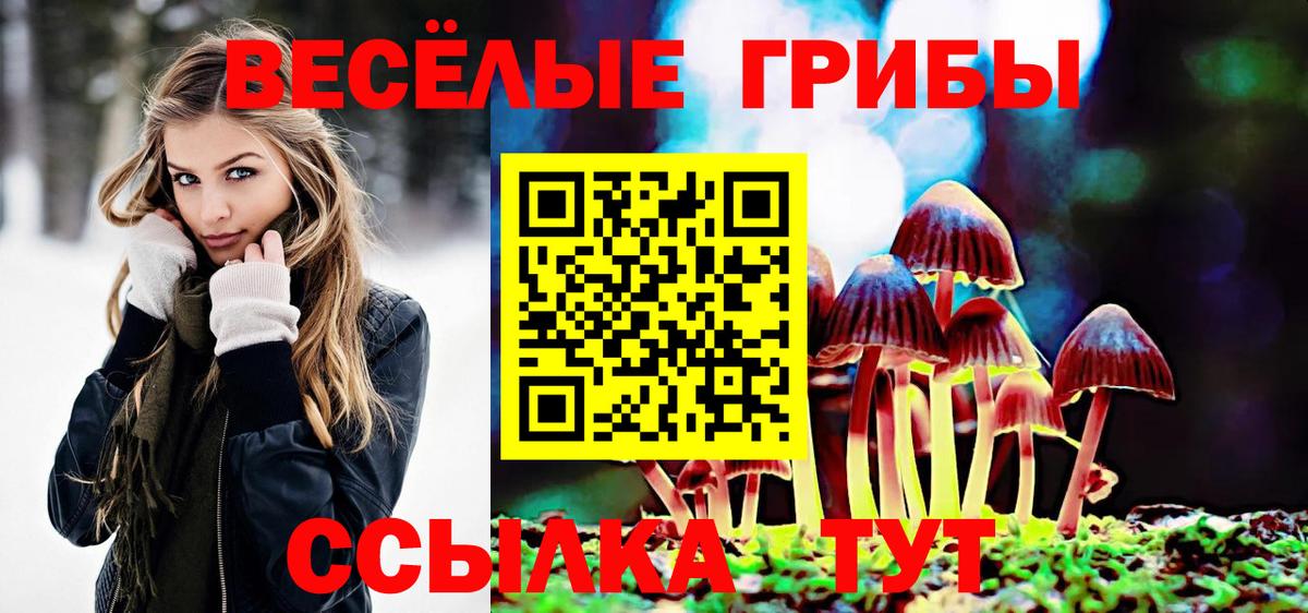 Галлюциногенные грибы ЛСД  Галлюциногенные грибы GOLDEN TEACHER  Вход с VPN  Вольск 