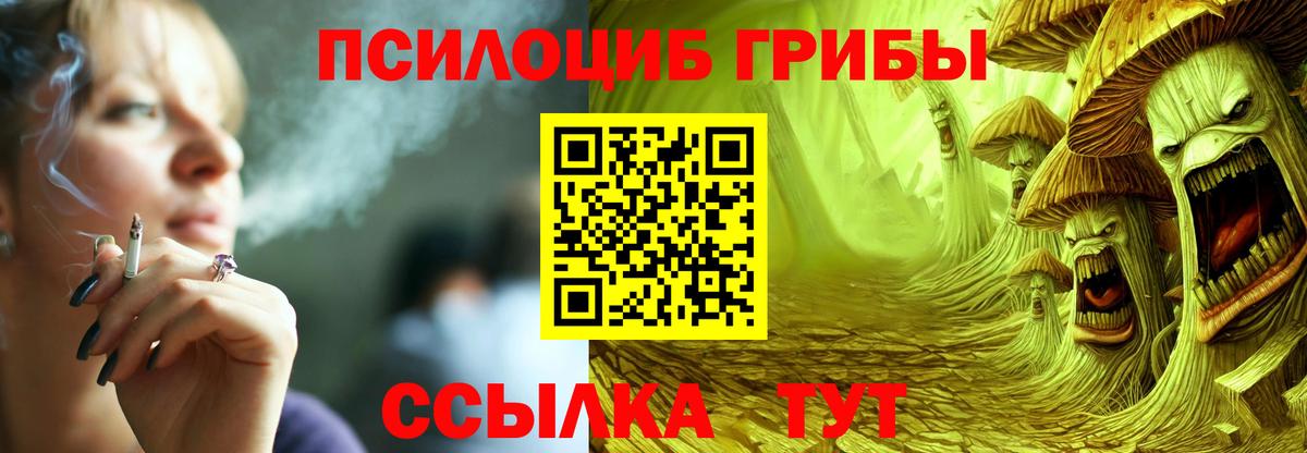 Псилоцибиновые грибы Cubensis Вольск